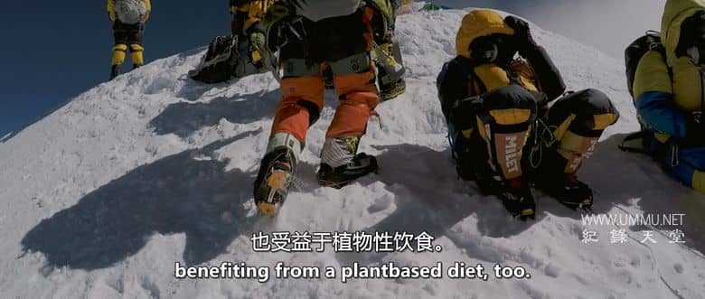 我永远不可能成为素食者 I Could Never Go Vegan