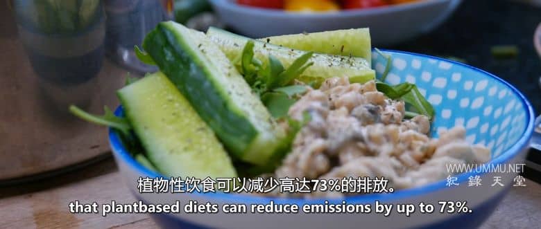 我永远不可能成为素食者 I Could Never Go Vegan