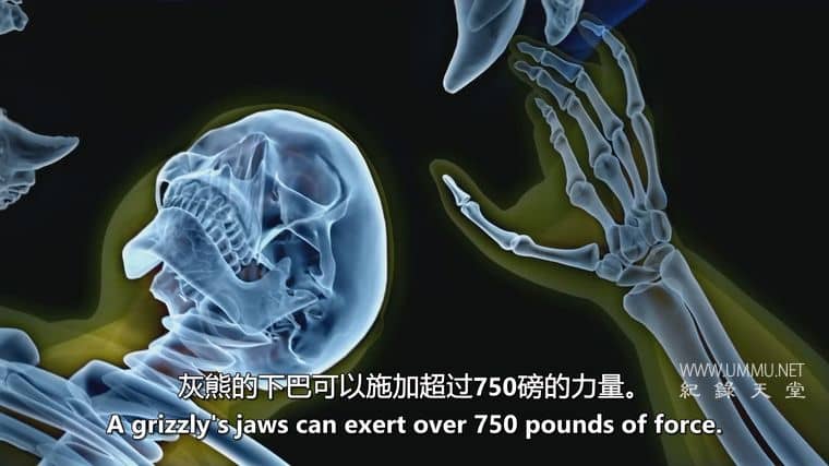 人类猎物 Human Prey