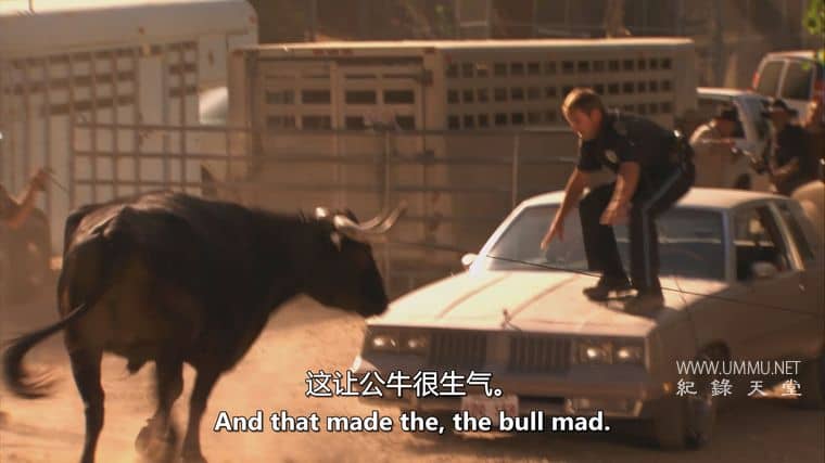 人类猎物 Human Prey