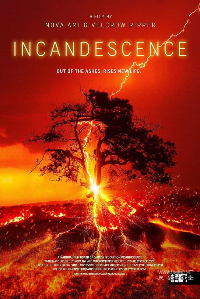 炽热 Incandescence