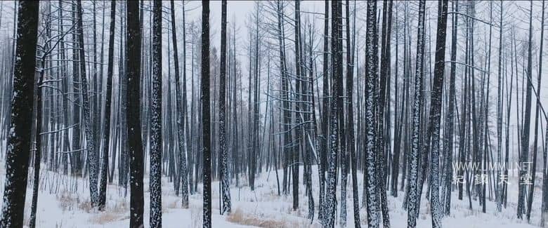 炽热 Incandescence