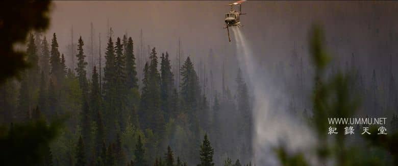 炽热 Incandescence