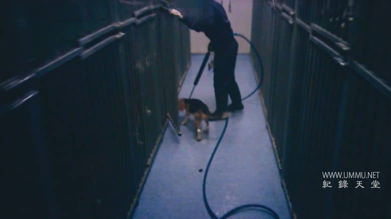 潜入禁地：动物实验的黑暗真相 Infiltrated in the Bunker