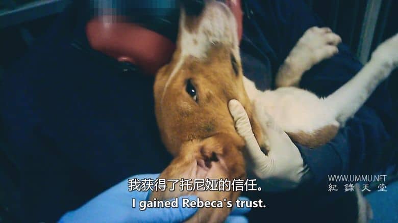 潜入禁地：动物实验的黑暗真相 Infiltrated in the Bunker