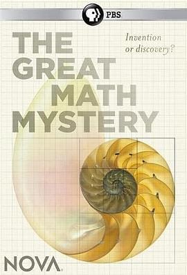 新星：数学大谜思 Nova:The Great Math Mystery