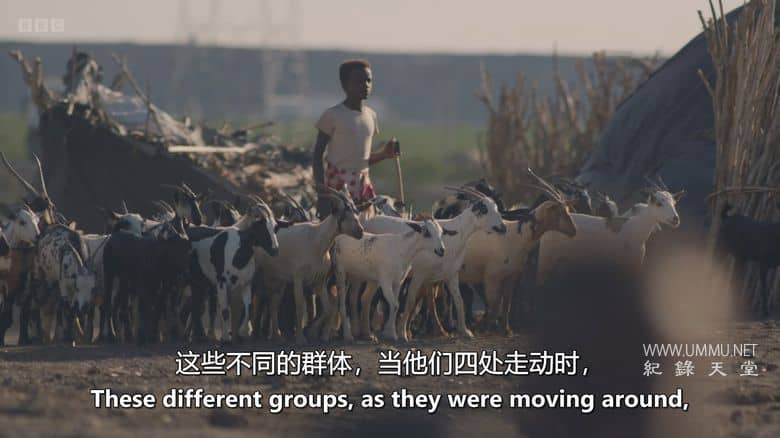 人类 2025 Human 2025