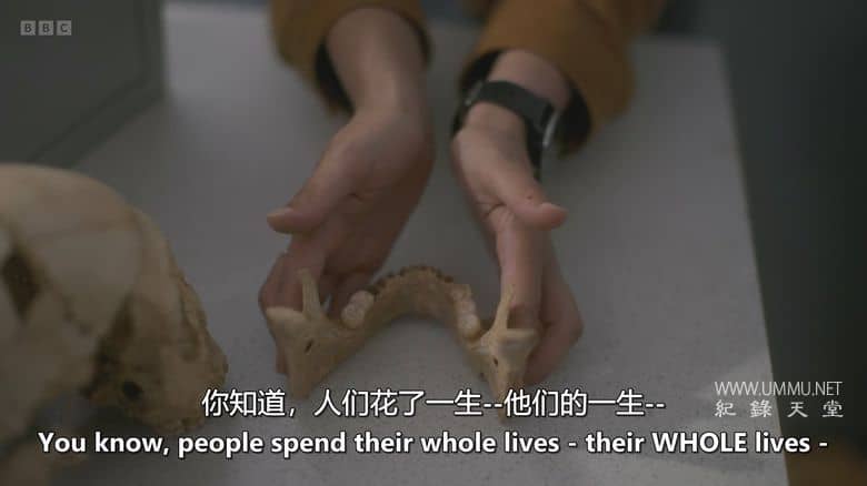 人类 2025 Human 2025