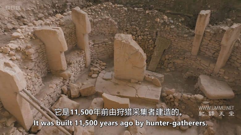 人类 2025 Human 2025