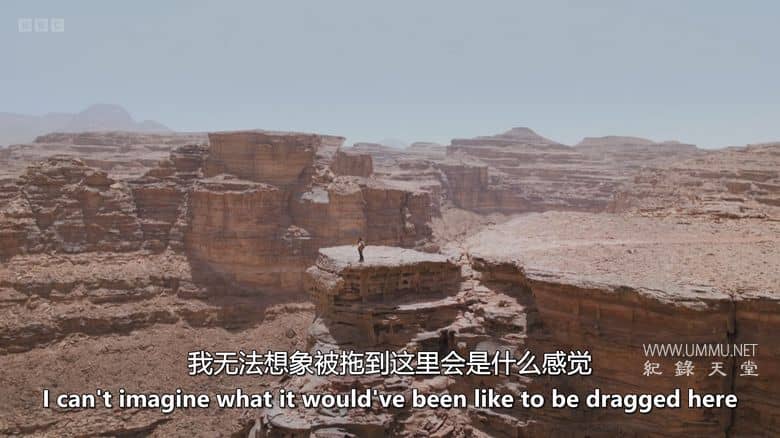 人类 2025 Human 2025