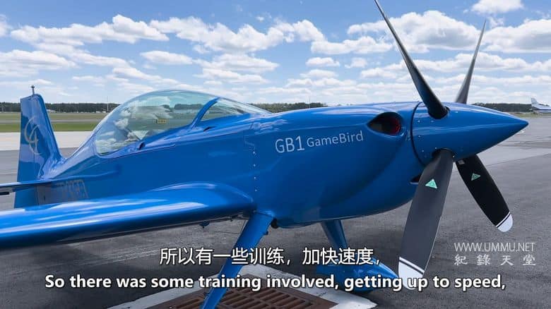 飞机视角 In Plane View