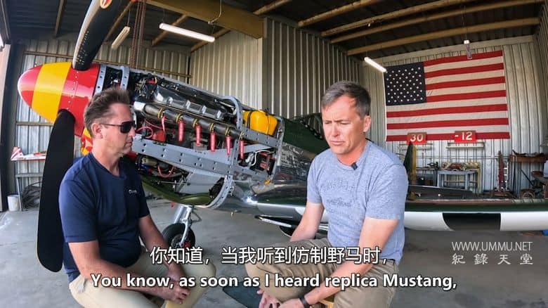 飞机视角 In Plane View