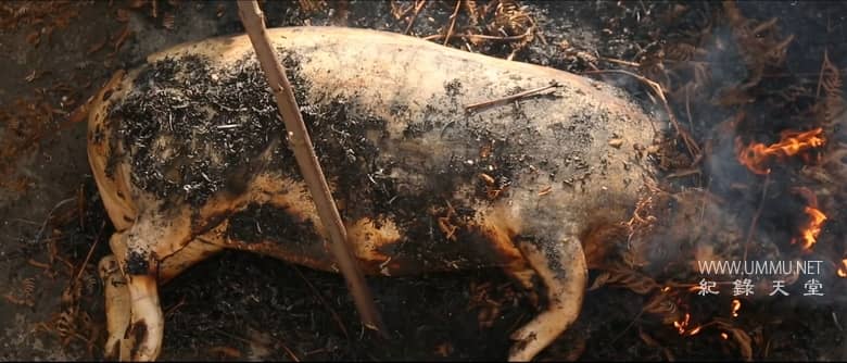 云深之处 In The Clouds