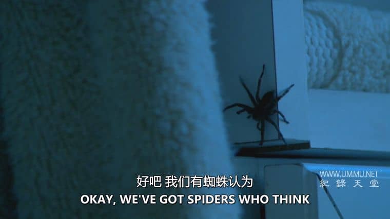 害虫入侵！Infested!