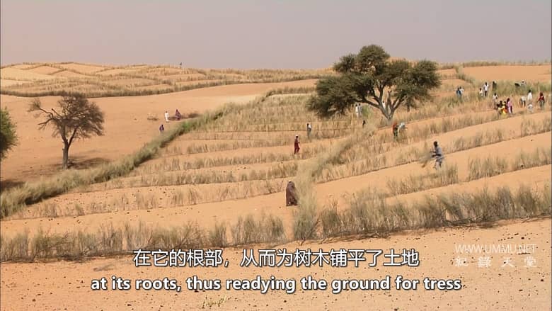 极端！- 从干旱到洪水 Extreme! – From Drought to Deluge