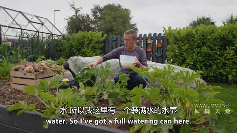 种植、烹饪、食用 Grow, Cook, Eat