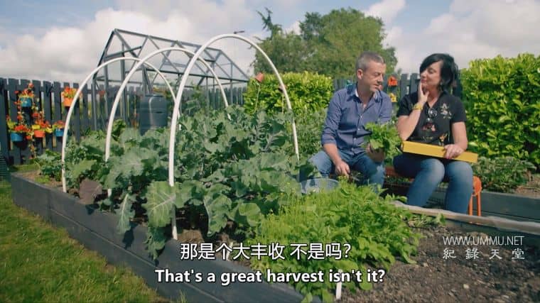 种植、烹饪、食用 Grow, Cook, Eat