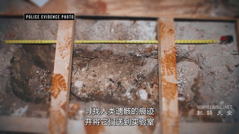 是如何抓到我的杀手的 第二季 How I Caught My Killer