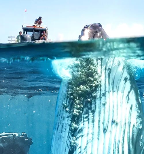 如果地球上没有陆地 If There Was No Land On Earth