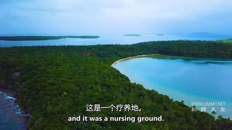 如果地球上没有陆地 If There Was No Land On Earth