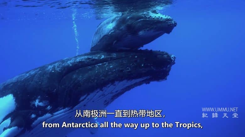 如果地球上没有陆地 If There Was No Land On Earth