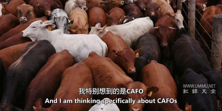 为了明天 Feeding Tomorrow