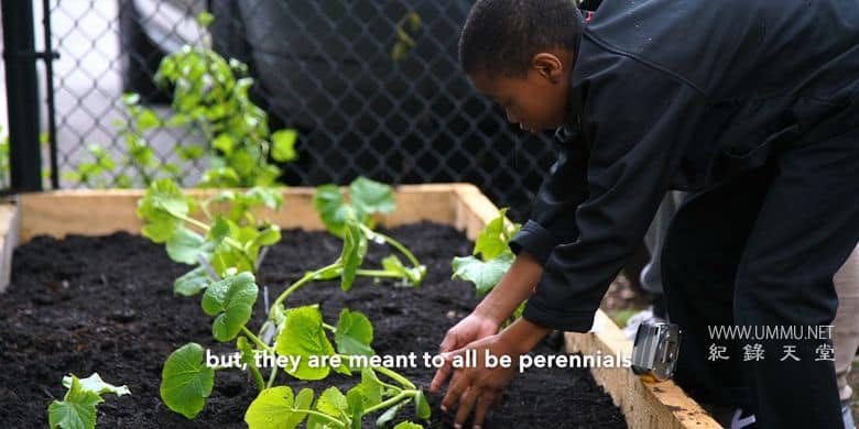 为了明天 Feeding Tomorrow