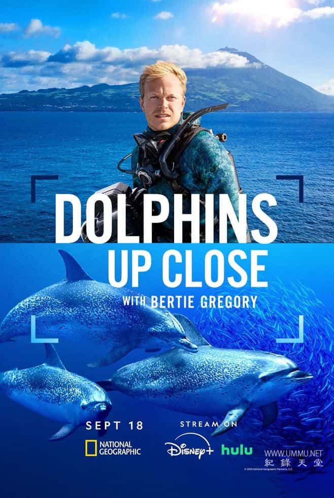 摄影师贝尔蒂与海豚零距离 Dolphins Up Close with Bertie Gregory