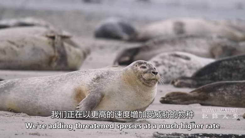 逃离灭绝 Escape from Extinction