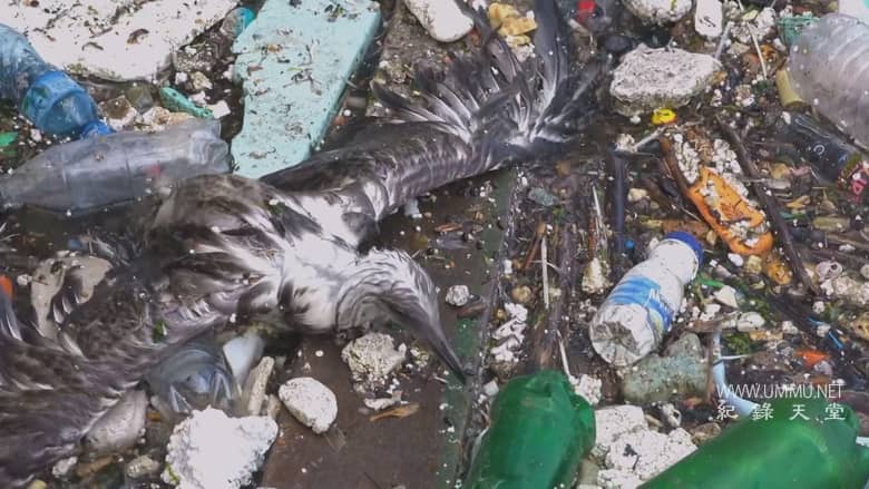 逃离灭绝 Escape from Extinction