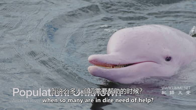 逃离灭绝 Escape from Extinction