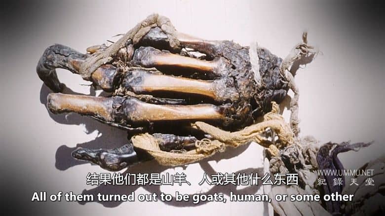 探险档案 Expedition Files