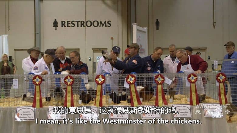 养鸡人 Chicken People