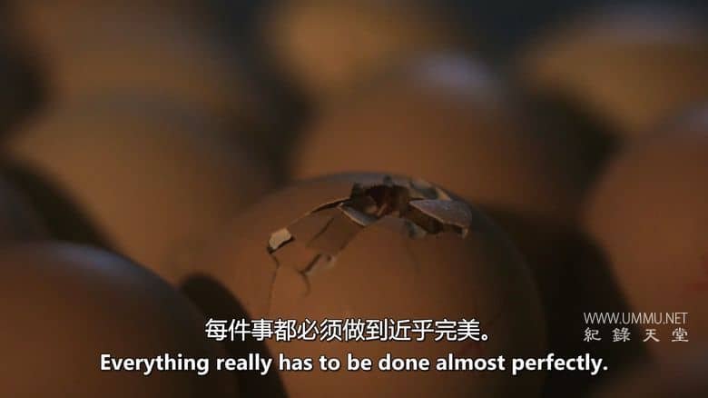 养鸡人 Chicken People