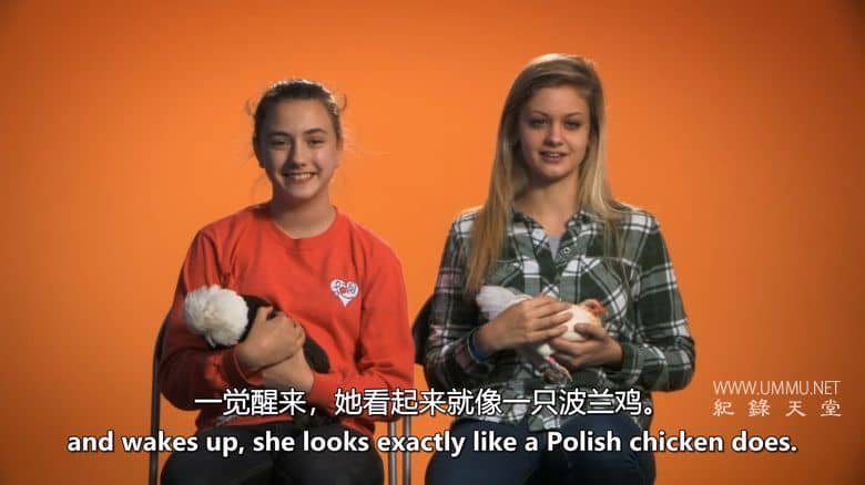 养鸡人 Chicken People