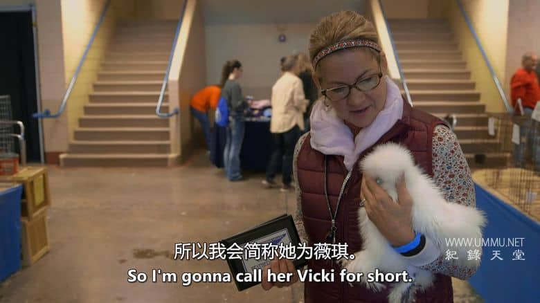 养鸡人 Chicken People