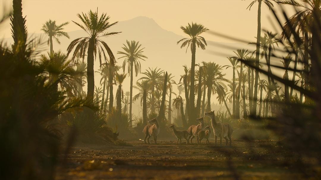 我们星球上的生命 Life on Our Planet