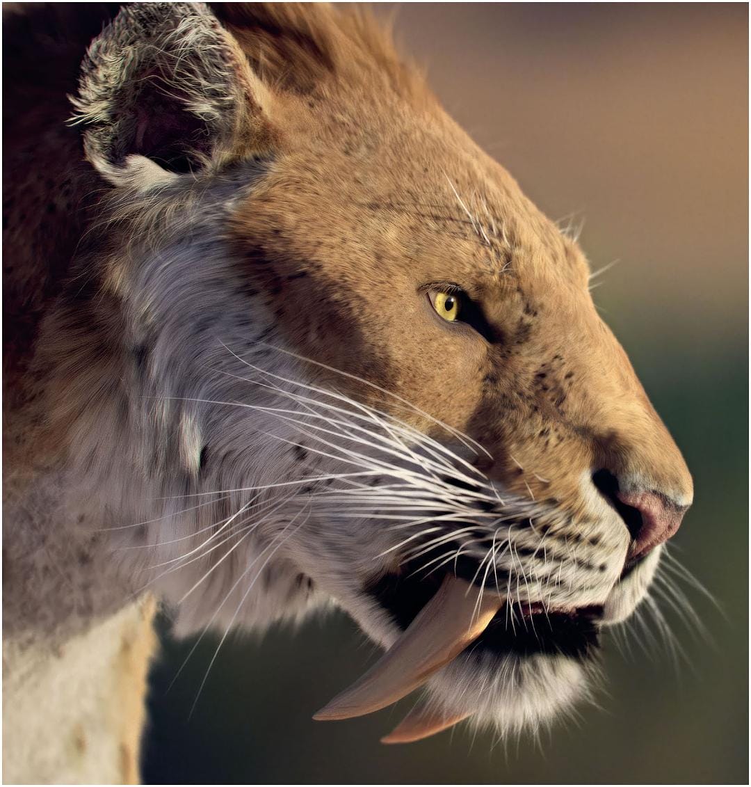 我们星球上的生命 Life on Our Planet