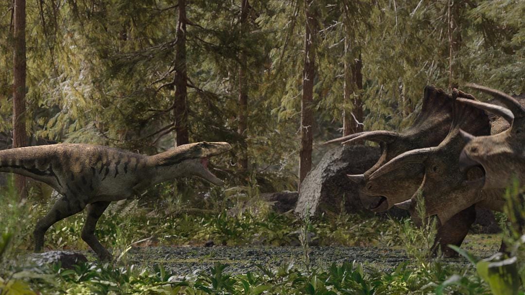 我们星球上的生命 Life on Our Planet