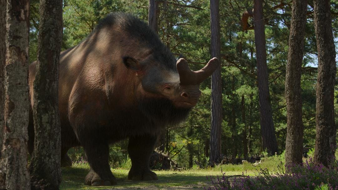 我们星球上的生命 Life on Our Planet