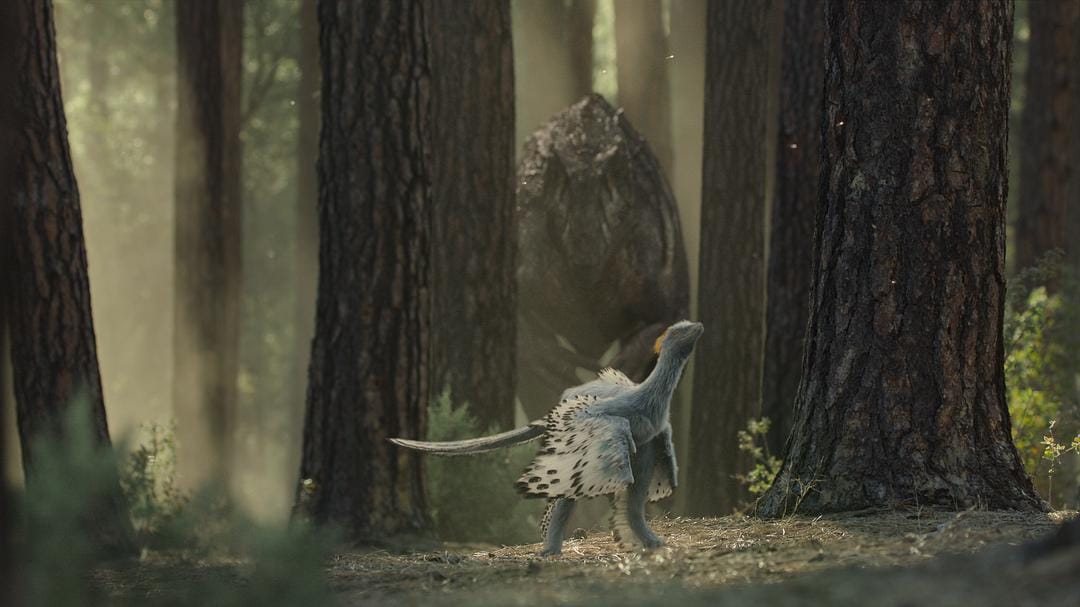 我们星球上的生命 Life on Our Planet