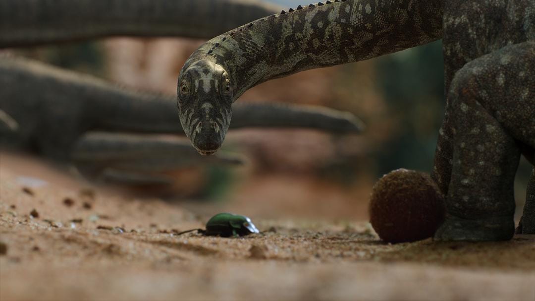 我们星球上的生命 Life on Our Planet