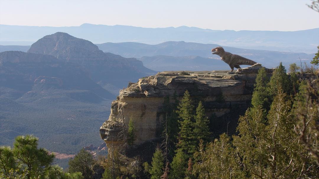 我们星球上的生命 Life on Our Planet