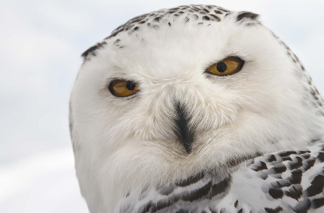 地球四季 Les saisons