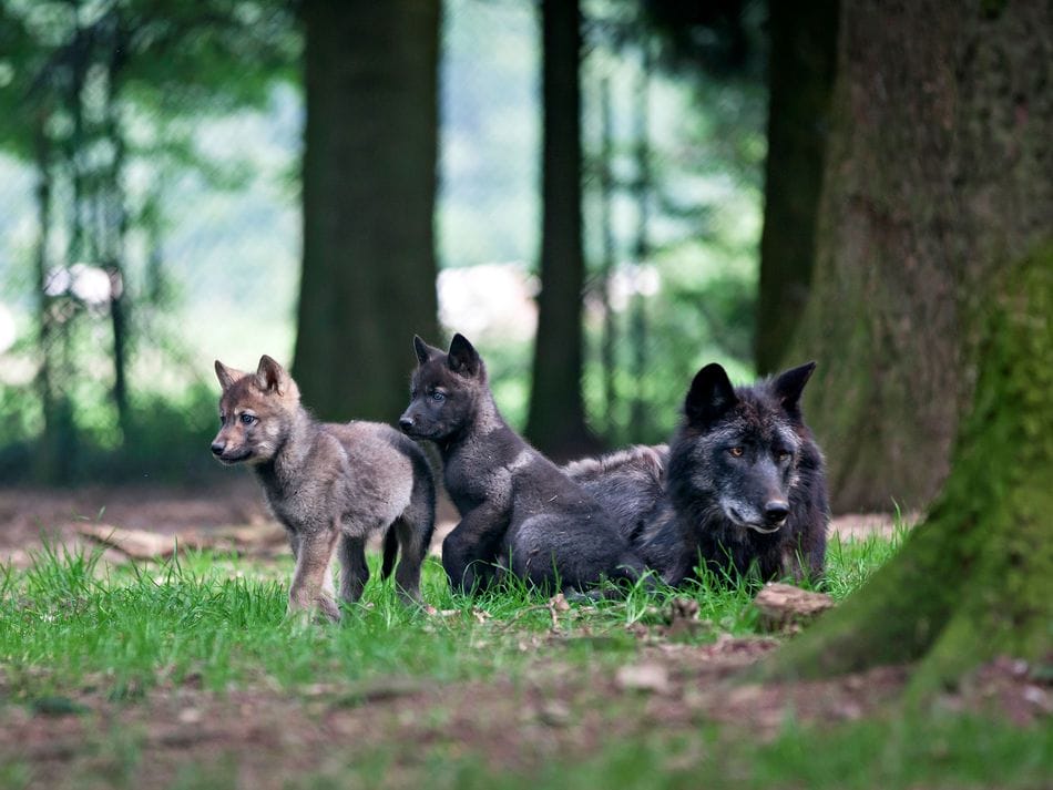 地球四季 Les saisons