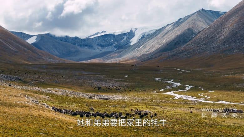 寻色中国 China in Hues