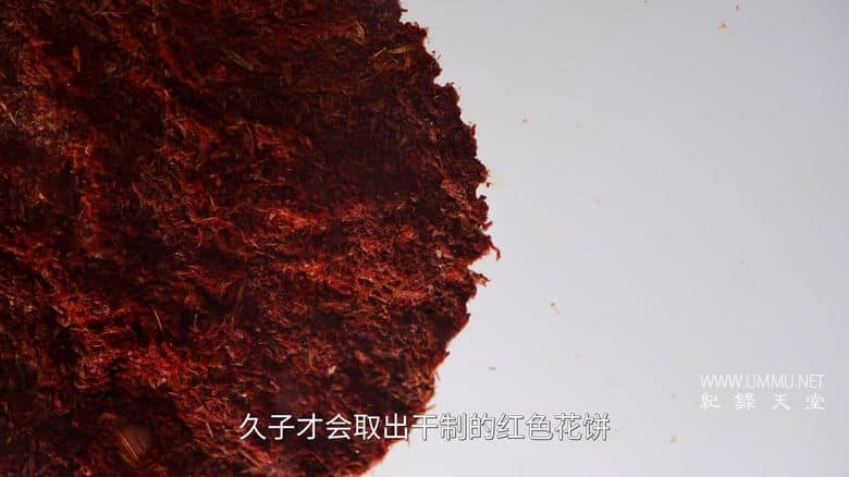 寻色中国 China in Hues