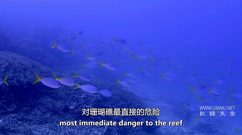 科学家能拯救世界吗？Can Scientists Save the World?