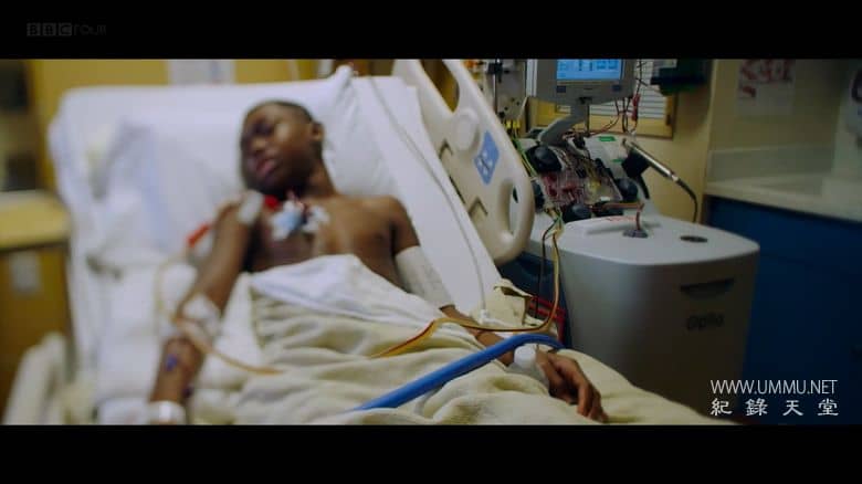 基因革命：改变人性 The Gene Revolution: Changing Human Nature