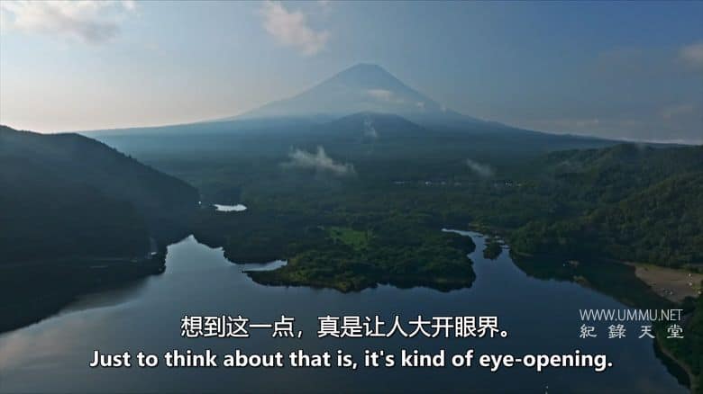 虫临天下 Bugs That Rule the World